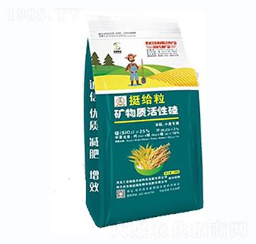 ͦ�o���V���|���Թ�-�T���r�I(y��)