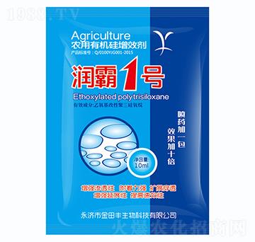 ����1̖(h��o)-�����S