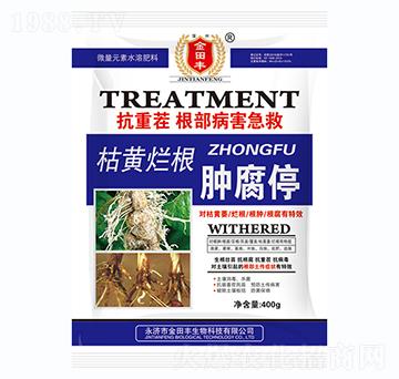 ���S�����[��ͣ-�����S