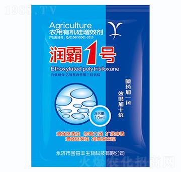 ����1̖(h��o)-�����S