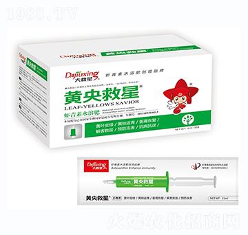 �S�����-�����