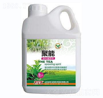 ���~��ѿ��-����-��(zh��n)܇