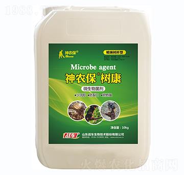 �������z�������Ƅ�-���r(n��ng)�����俵-��(zh��n)܇