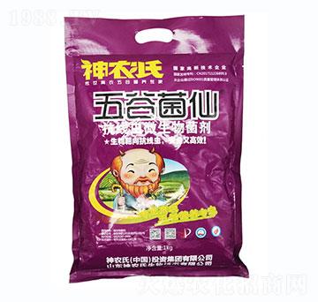 抗線蟲微生物菌劑-五谷菌仙-神農(nóng)氏
