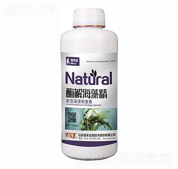 ø�⺣�徫-��(zh��n)܇