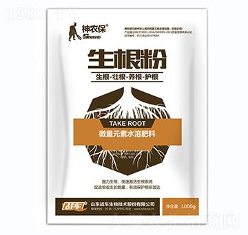 ������-��(zh��n)܇