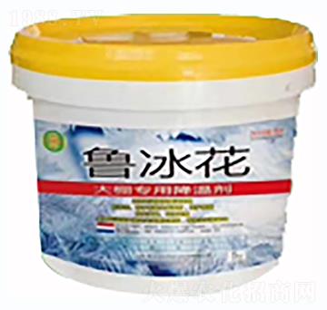 ���؄�-������-ֲ���S