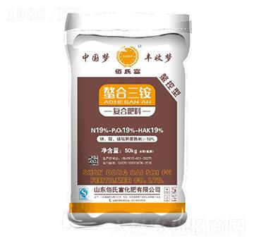 �������@��(f��)�Ϸ���19-19-19-���ϸ�