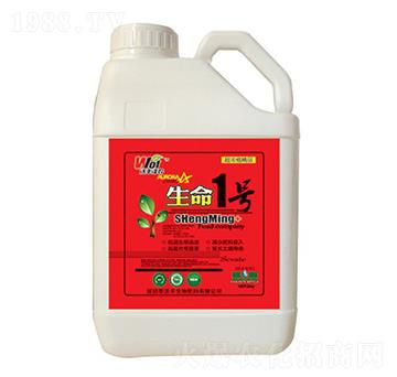 ����1̖-���S���r-���S����