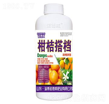 �̽۴�n-�Z����