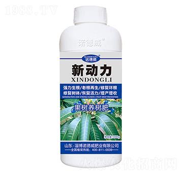 �����B(y��ng)���-����-�Z