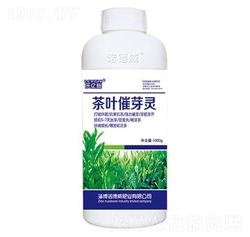 ���~��ѿ�`-���|ʩ-�Z