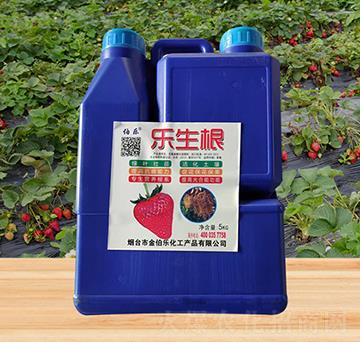 ������-�𲮘�