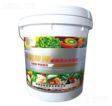 �S�����-�Z����