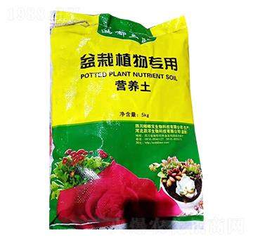 5kg����ֲ��àI(y��ng)�B(y��ng)��-�ཌ�����