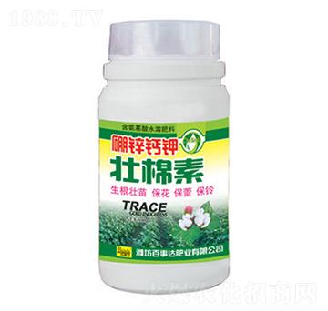 ���\�}⛉�����-�����_(d��)