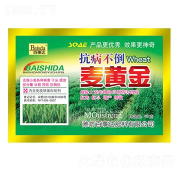 �����������S��-�����_(d��)