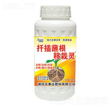 Ǥ�������`-�����_(d��)