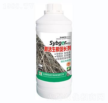 �����������L��-ʩ�۸�