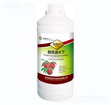 ����M����-ʩ�۸�