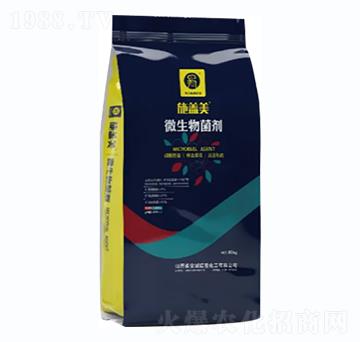 ΢�������-ʩ�w��-С��