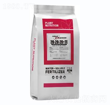 ����Ԫ��ˮ�ܷ���-С���Ǆӡ��V�-С��