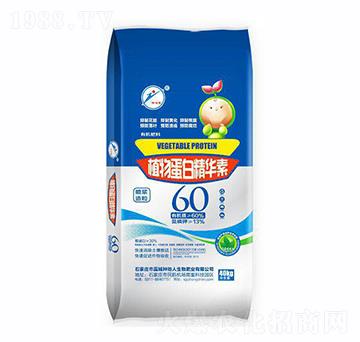 ֲ�ﵰ�׾��A��-�N����