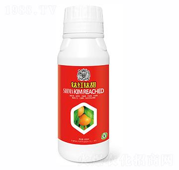 ⁼t���1000g-�{�R�ʘI(y��)