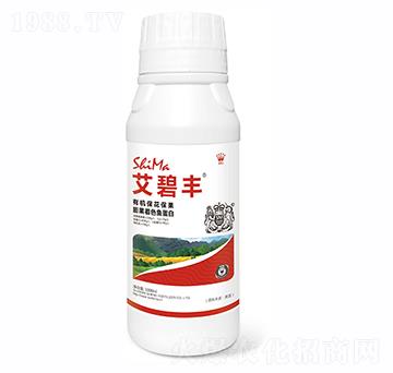 �����S-�{�R�ʘI(y��)