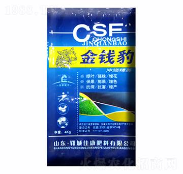 ���X���_ʩ��-�ѿ�