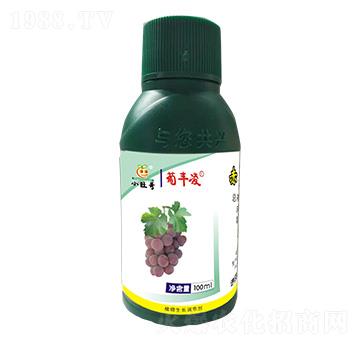 0.5%��ù��������-���S��-�������