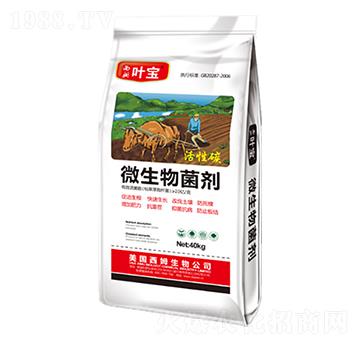 微生物菌劑-寶葉植物