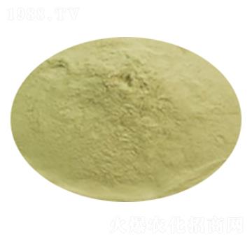 ���w���������Ч��-��