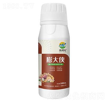 地下根莖塊膨大型-膨大俠-沃初元-沃爾優(yōu)