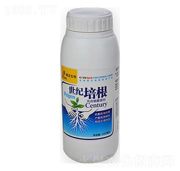 ��ϼ�(x��)������-���o(j��)���-��������