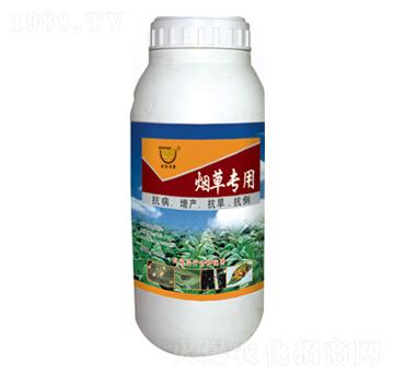 ���݌����~���-�����