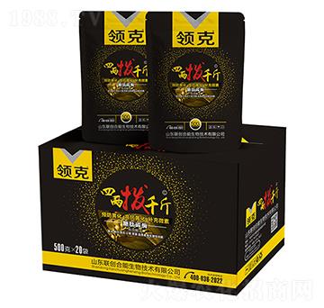 �ăɓ�ǧ��-�I��-��(chu��ng)����