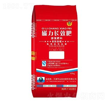 �����LЧ��-�������17-17-17-���J��