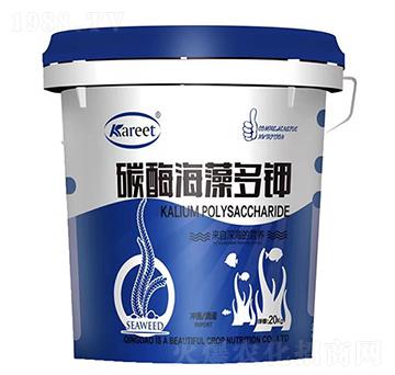 ̼ø������-������