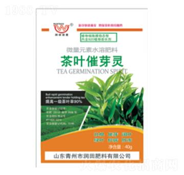 ���~��ѿ�`-�������