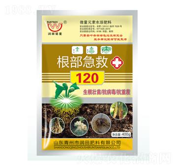 ��������120-�����