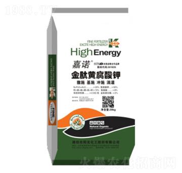 �����S�����-ꖹ⻯��