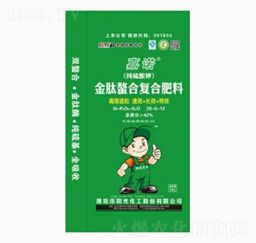 �������Ϗ�(f��)�Ϸ���25-