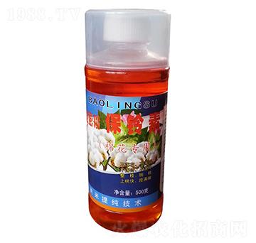 �޻���(zhu��n)��-�����-��ɽ