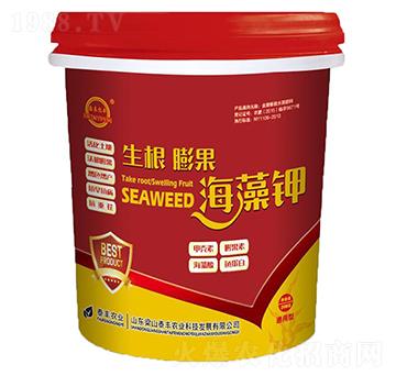 ������������-��ɽ̩