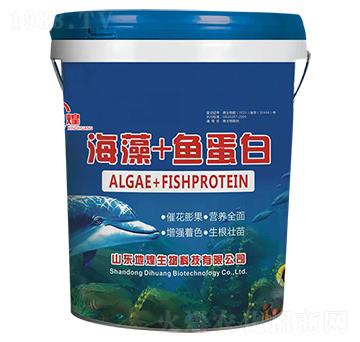 海藻+魚(yú)蛋白-地煌生物