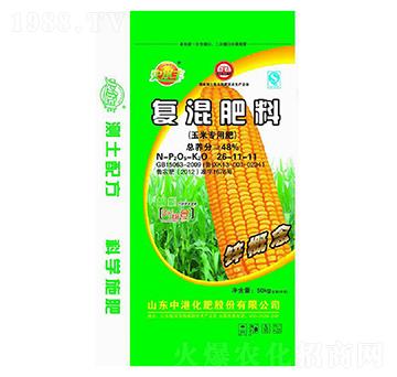 ���׌�(zhu��n)�Ï�(f��)�����26-11-11-�иۻ���