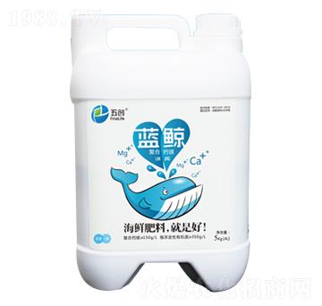 藍鯨螯合鈣鎂-五創(chuàng)