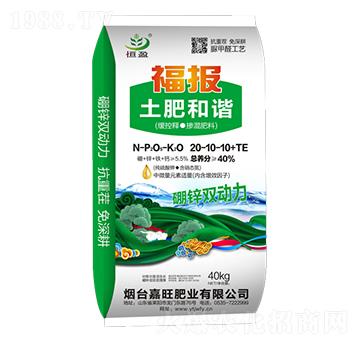 ����ጓ������20-10-10+TE-���ʺ��C-����