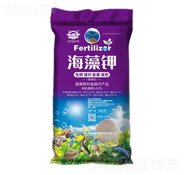 ����⛷�-��Ȫ����